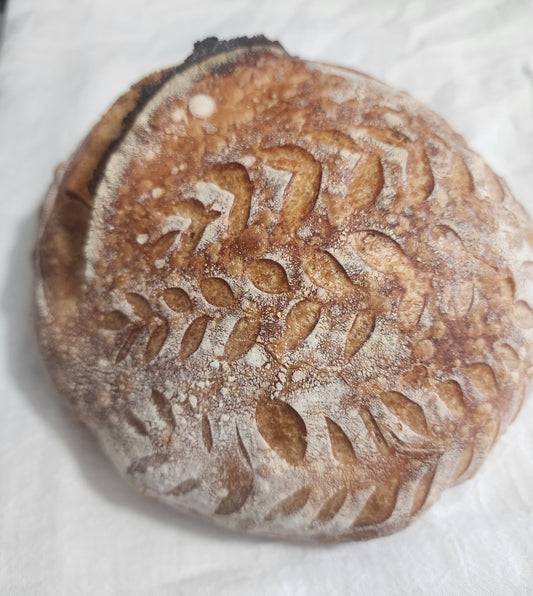 Plain Sourdough