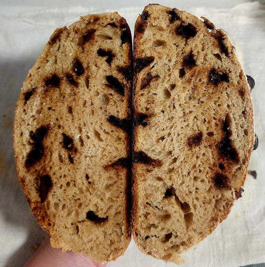 Chocolate Chip